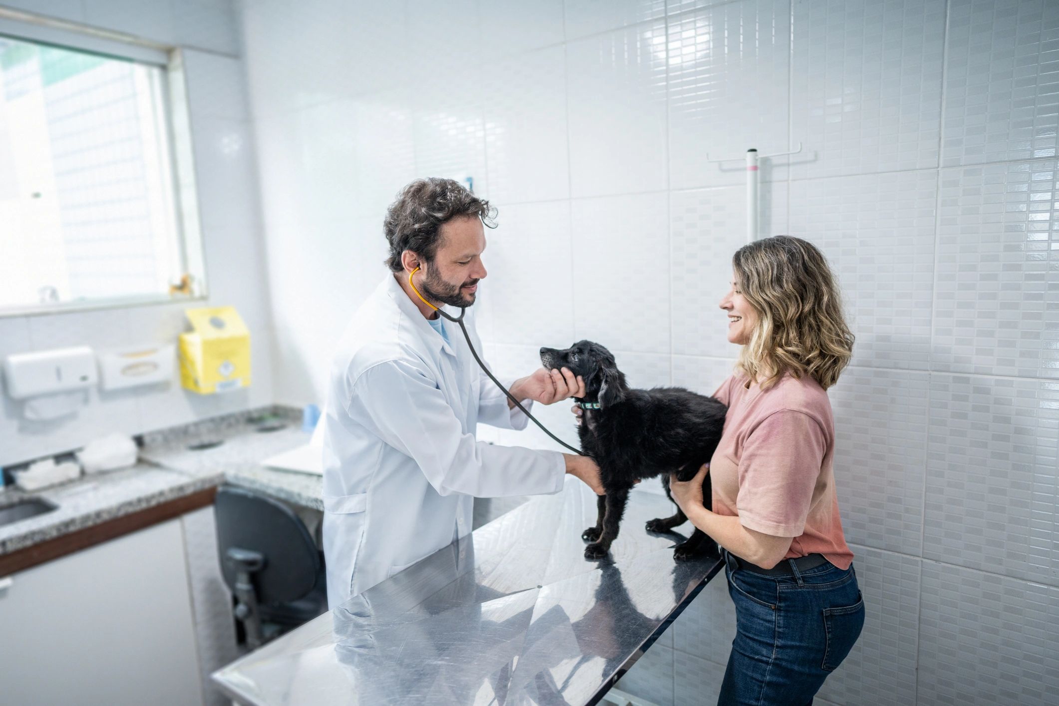 Veterinarian examining a dog in a clinic