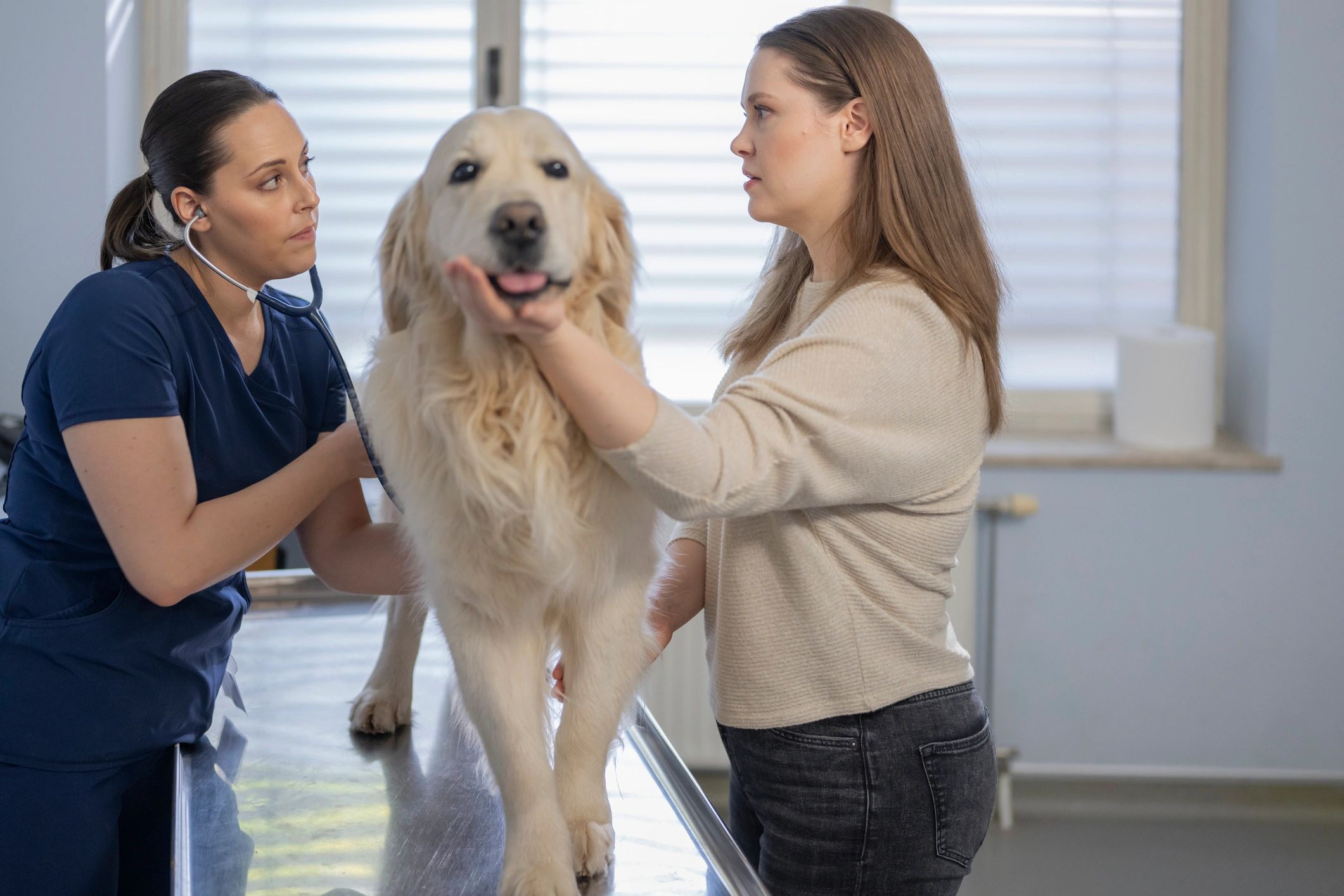 Veterinary student examining a dog with the owner present