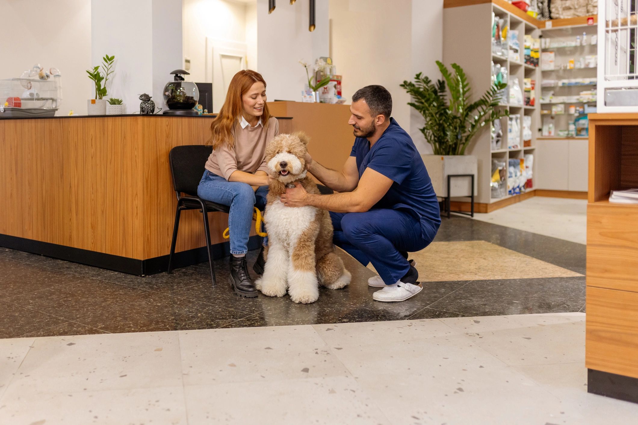 Veterinarian consulting with a pet owner while a calm dog is being petted