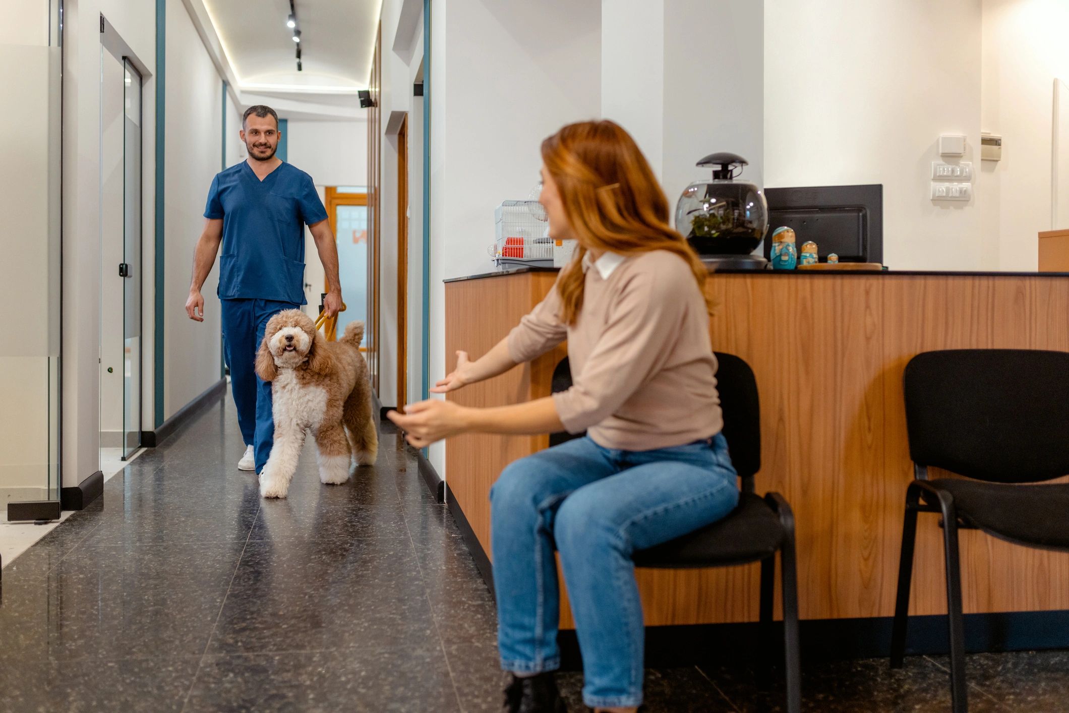 Veterinarian walking a dog back to its owner at a clinic