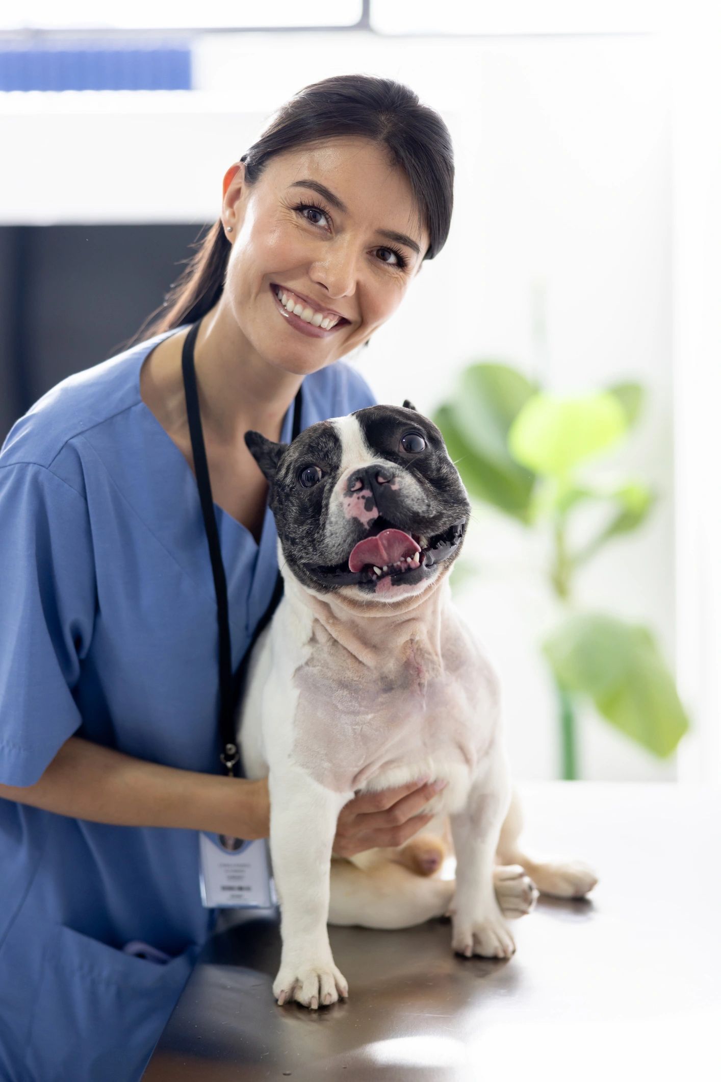 Portrait of a veterinarian smiling with a dog in a clinic