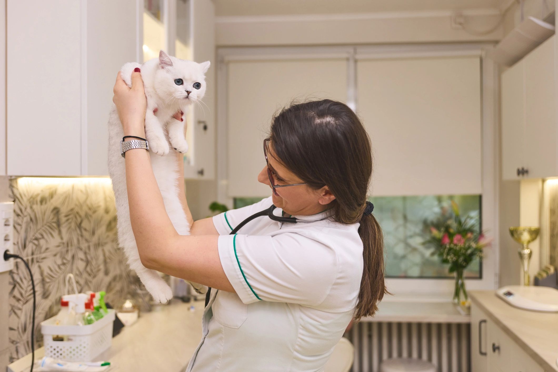 Veterinarian gently holding a cat during a checkup
